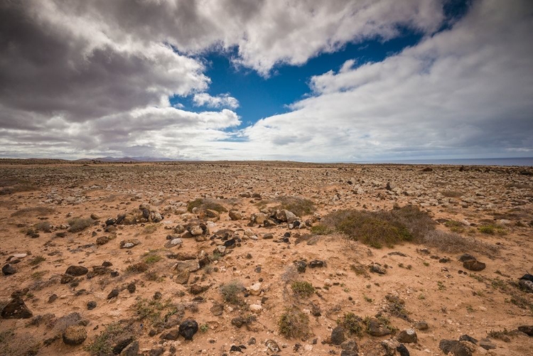 Picture of CANARY ISLANDS-FUERTEVENTURA ISLAND-PUNTO DE PASO CHICO-WEST COAST DESERT LANDSCAPE