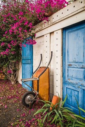 Picture of CANARY ISLANDS-FUERTEVENTURA ISLAND-LA OLIVA-BLUE DOOR OF GARDEN SHED