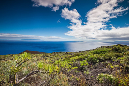 Picture of CANARY ISLANDS-LA PALMA ISLAND-FUENCALIENTE DE LA PALMA-PUNTA DE FUENCALIENTE-VOLCANIC LANDSCAPE