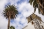 Picture of CANARY ISLANDS-LA PALMA ISLAND-SAN ANDRES-IGLESIA DE SAN ANDRES CHURCH-BUILT IN 1515