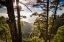 Picture of CANARY ISLANDS-LA PALMA ISLAND-MIRADOR DE GAROME-ELEVATED COASTAL VIEW