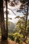 Picture of CANARY ISLANDS-LA PALMA ISLAND-MIRADOR DE GAROME-ELEVATED COASTAL VIEW