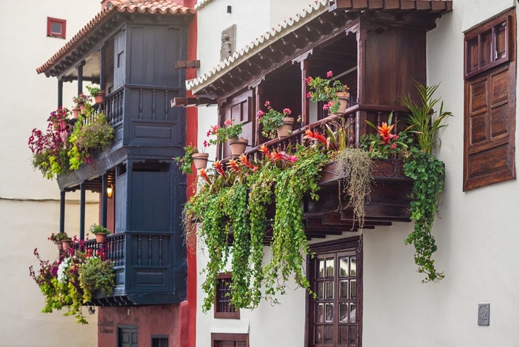 Picture of CANARY ISLANDS-LA PALMA ISLAND-SANTA CRUZ DE LA PALMA-TRADITIONAL CANARIAN HOUSE BALCONIES