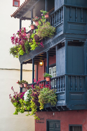 Picture of CANARY ISLANDS-LA PALMA ISLAND-SANTA CRUZ DE LA PALMA-TRADITIONAL CANARIAN HOUSE BALCONIES