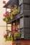 Picture of CANARY ISLANDS-LA PALMA ISLAND-SANTA CRUZ DE LA PALMA-TRADITIONAL CANARIAN HOUSE BALCONIES