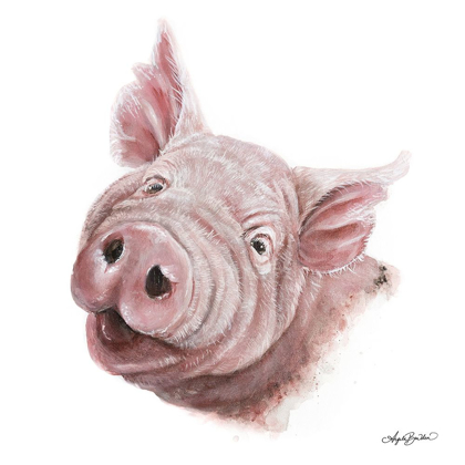 Picture of PENNY THE PIG