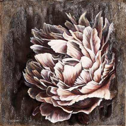 Picture of PALE PEONY
