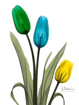 Picture of JEWELED TULIP TRIO 1