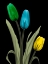 Picture of JEWELED TULIP TRIO 3