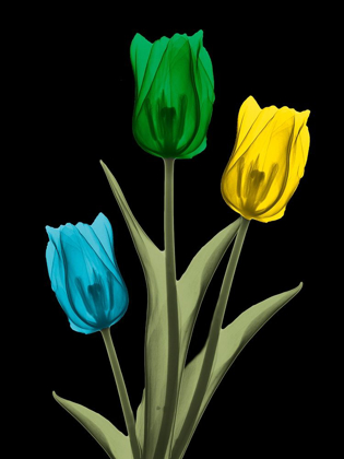 Picture of JEWELED TULIP TRIO 4