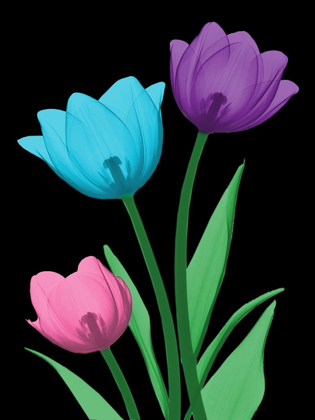 Picture of SHINY TULIPS 3