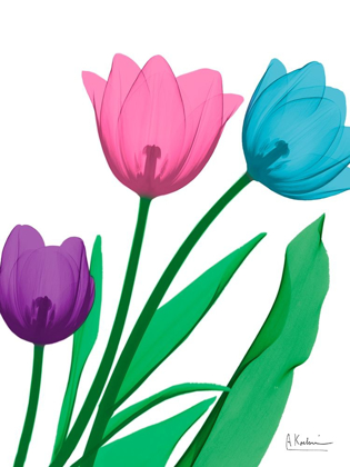 Picture of SHINY TULIPS 2