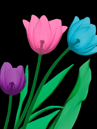 Picture of SHINY TULIPS 4