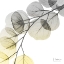 Picture of BRILLIANT EUCALYPTUS 1