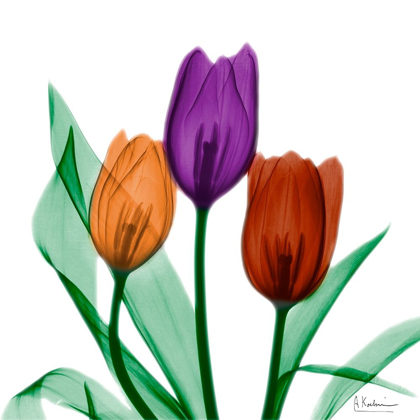Picture of JEWELED TULIPS 1