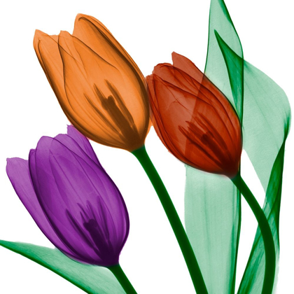 Picture of JEWELED TULIPS 2