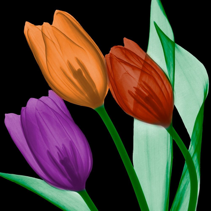Picture of JEWELED TULIPS 4