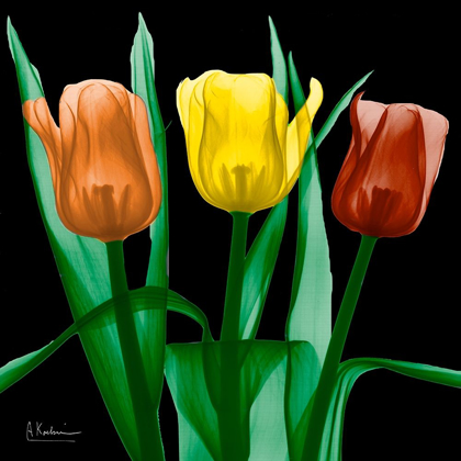 Picture of JEWEL EMBELLISHED TULIPS 4