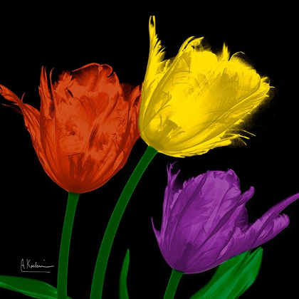 Picture of SHINY JEWEL TULIPS 4