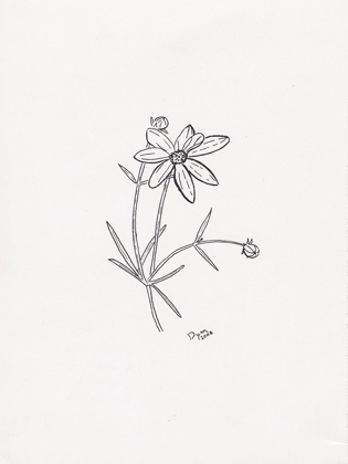 Picture of FLORAL HAND DRAWN 2