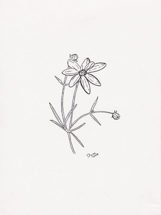 Picture of FLORAL HAND DRAWN 2