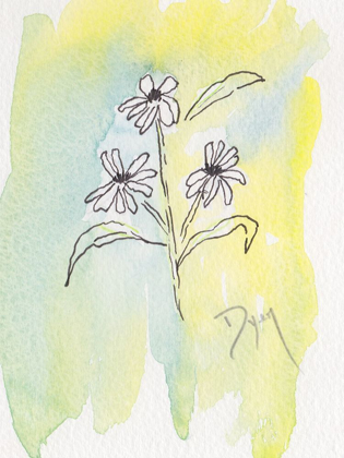Picture of DRAWN ASTERS