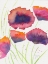 Picture of POPPIES JULY
