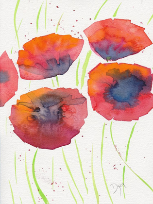 Picture of POPPIES JULY 2