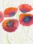 Picture of POPPIES JULY 2
