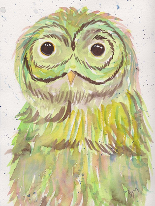 Picture of MR OWL GREEN