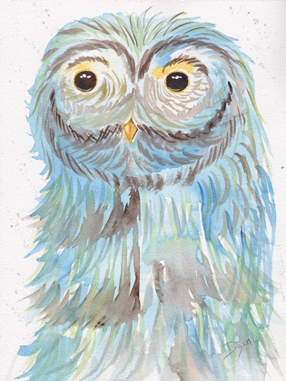 Picture of MRS OWL