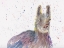 Picture of LLAMA SENOR