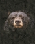 Picture of I SEE YOU