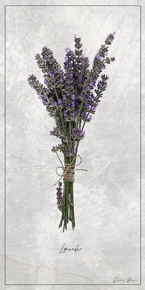 Picture of LAVENDER 1