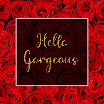 Picture of HELLO GORGEOUS