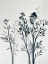 Picture of BOTANICAL INSPIRATION 1