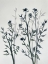 Picture of BOTANICAL INSPIRATION 2