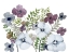 Picture of FLORAL GOSSIP 4