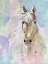 Picture of MAGICAL STEED 1