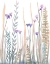 Picture of GARDEN BLOOMS 1