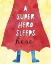 Picture of SUPER HERO SLEEPS HERE