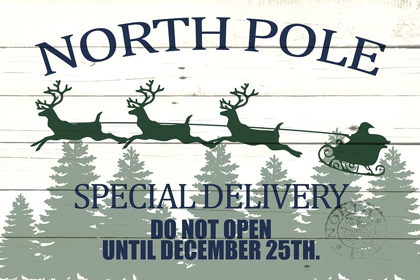 Picture of NORTH POLE SPECIAL DELIVERY