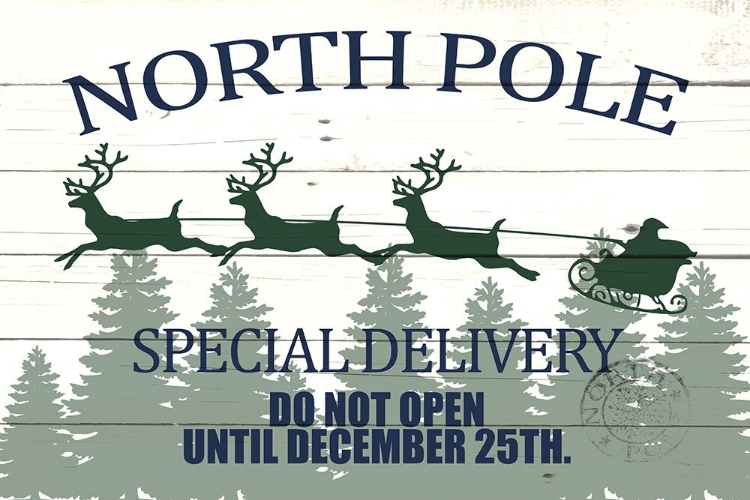 Picture of NORTH POLE SPECIAL DELIVERY