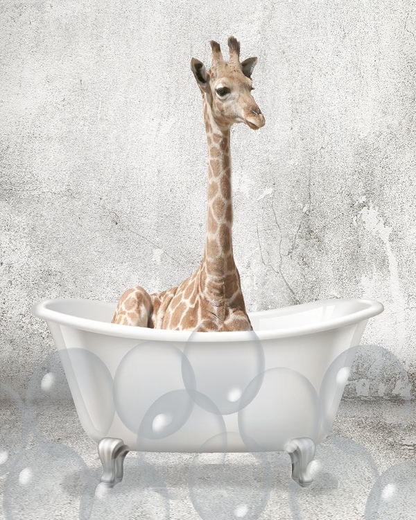 Picture of BABY GIRAFFE BATH