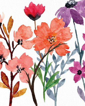 Picture of WILDFLOWERS 1