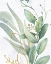 Picture of GREENS 2 GOLD