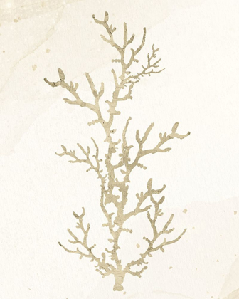 Picture of CORAL HUE 1