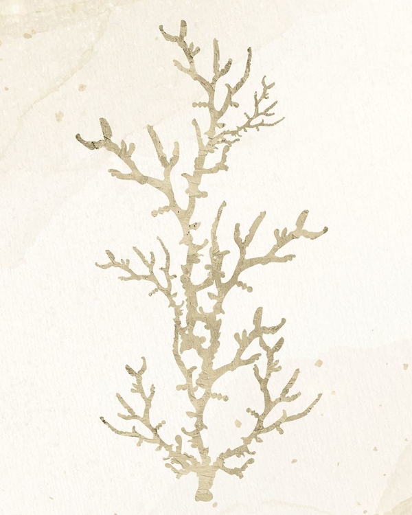 Picture of CORAL HUE 1