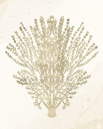 Picture of CORAL HUE 2