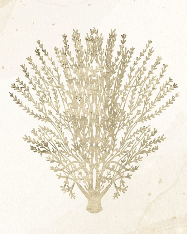 Picture of CORAL HUE 2